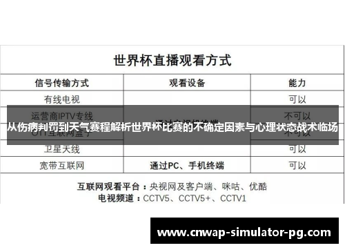 从伤病判罚到天气赛程解析世界杯比赛的不确定因素与心理状态战术临场
