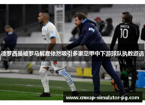 德罗西虽被罗马解雇依然吸引多家意甲中下游球队执教邀请